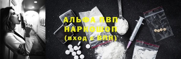 ECSTASY Гусиноозёрск