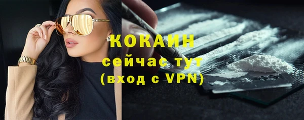 гидра Гусь-Хрустальный