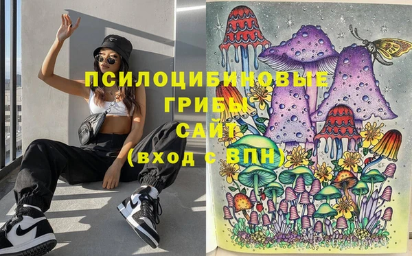 ECSTASY Гусиноозёрск