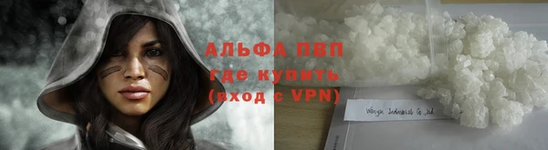 гидра Гусь-Хрустальный
