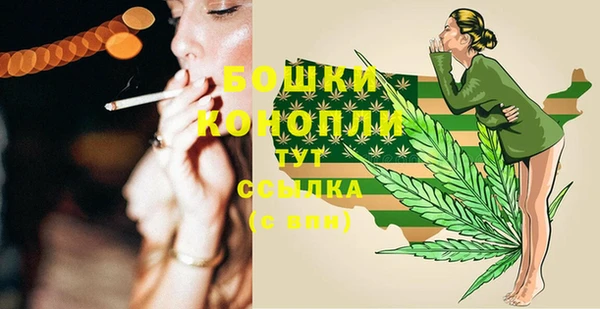 гидра Гусь-Хрустальный