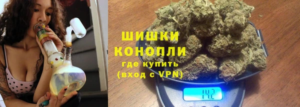 гидра Гусь-Хрустальный