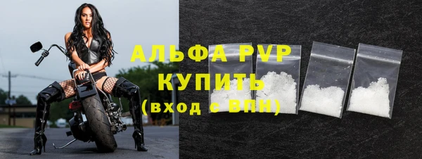 гидра Гусь-Хрустальный