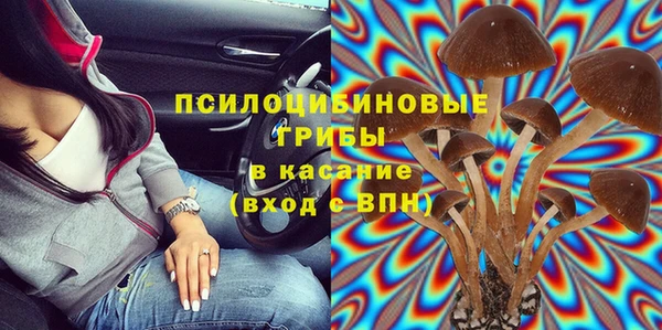 гидра Гусь-Хрустальный