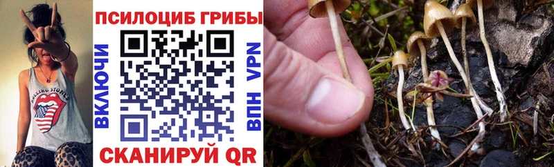Псилоцибиновые грибы прущие грибы  kraken   Южно-Сахалинск 